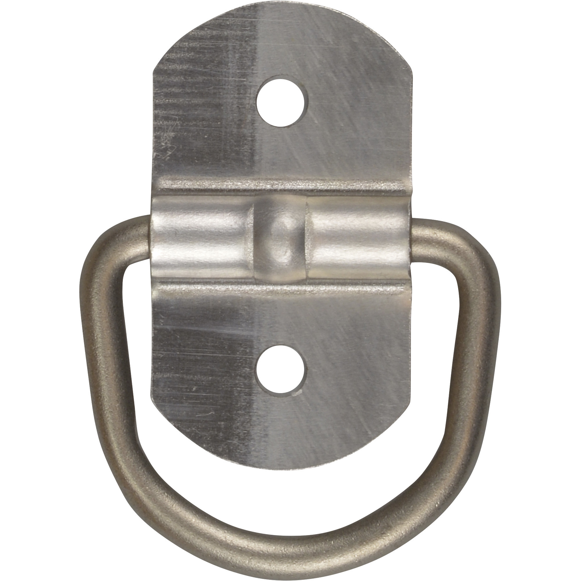 CargoSmart Bolt-On Light-Duty D-Ring, 1/4in. Dia.